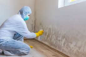 Best Industrial Mold Remediation  in North Pole, AK